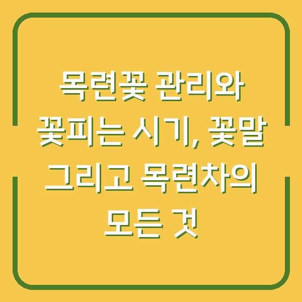 목련꽃 관리와 꽃피는 시기, 꽃말 그리고 목련차의 모든 것