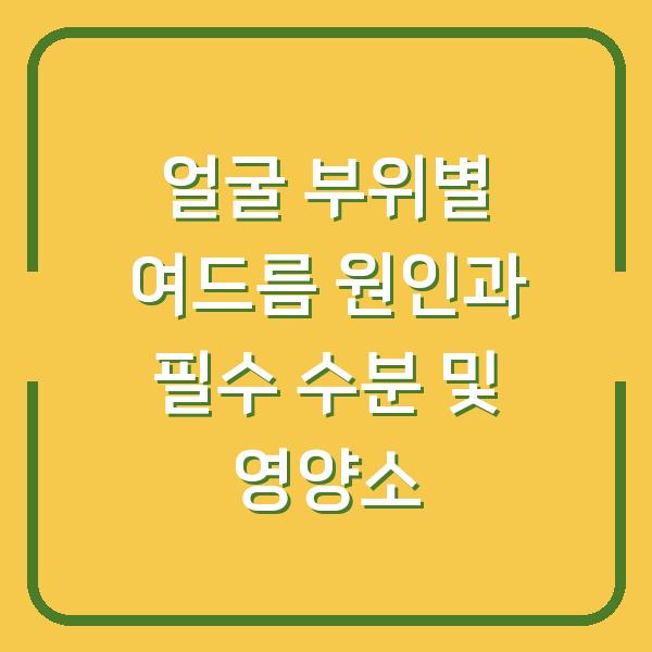 얼굴 부위별 여드름 원인과 필수 수분 및 영양소