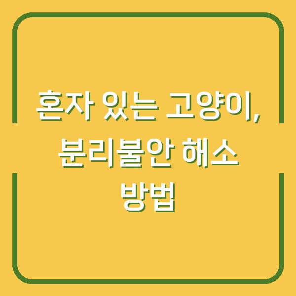 혼자 있는 고양이, 분리불안 해소 방법