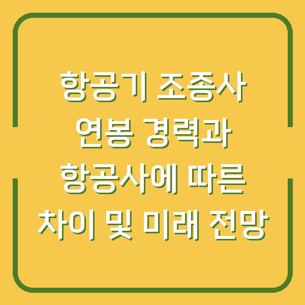 항공기 조종사 연봉 경력과 항공사에 따른 차이 및 미래 전망