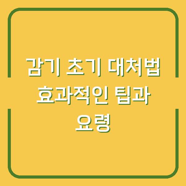 감기 초기 대처법 효과적인 팁과 요령