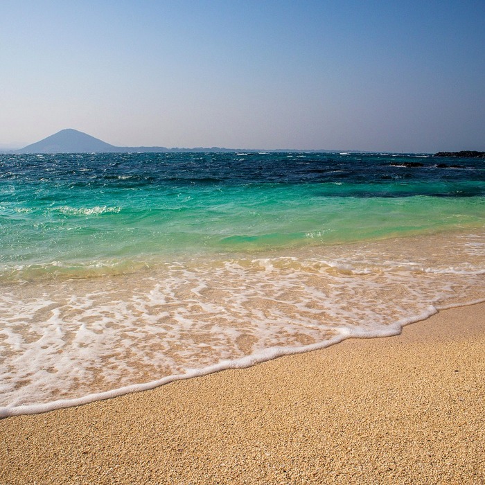 제주도 가을 풍경