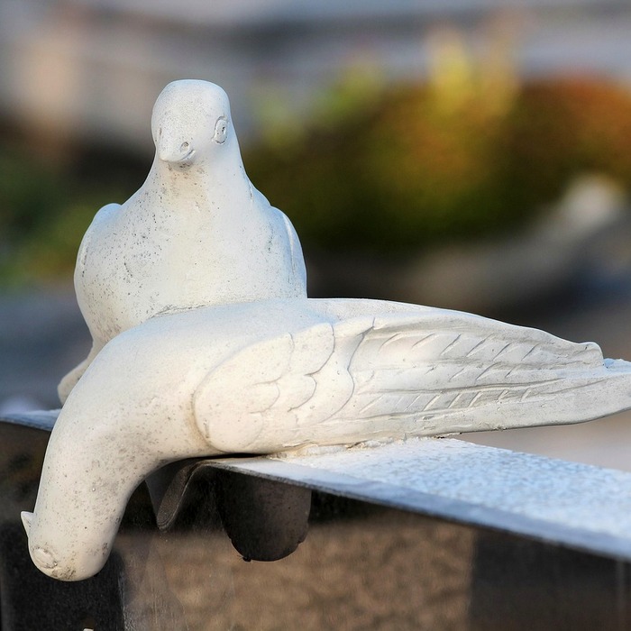 수표 상징성
