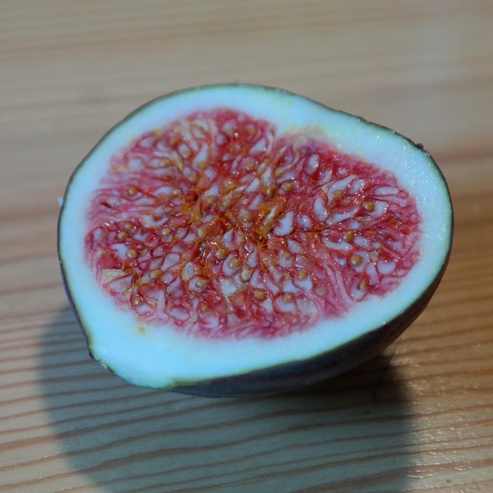 사업자 인증서