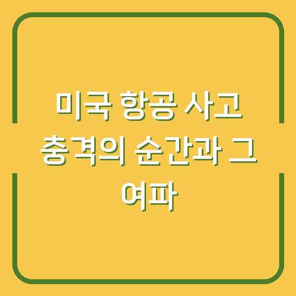미국 항공 사고 충격의 순간과 그 여파