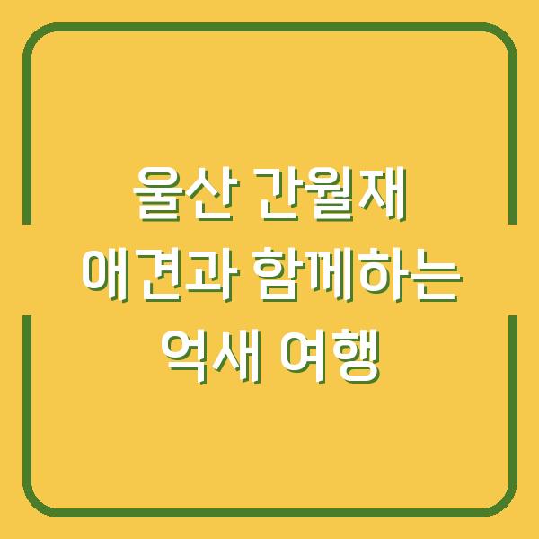 울산 간월재 애견과 함께하는 억새 여행