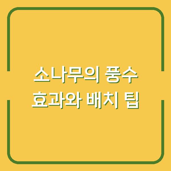 소나무의 풍수 효과와 배치 팁