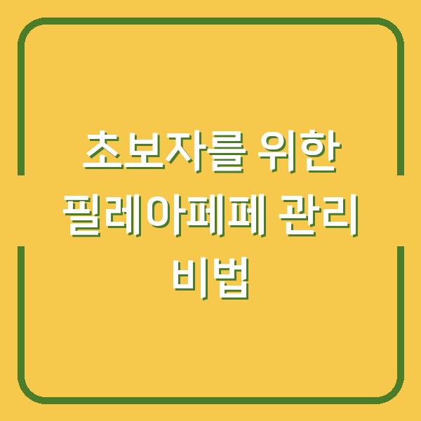 초보자를 위한 필레아페페 관리 비법