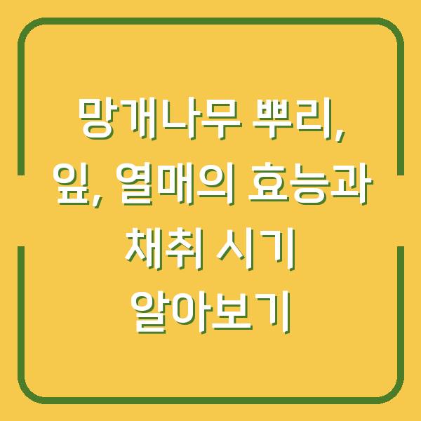 망개나무 뿌리, 잎, 열매의 효능과 채취 시기 알아보기