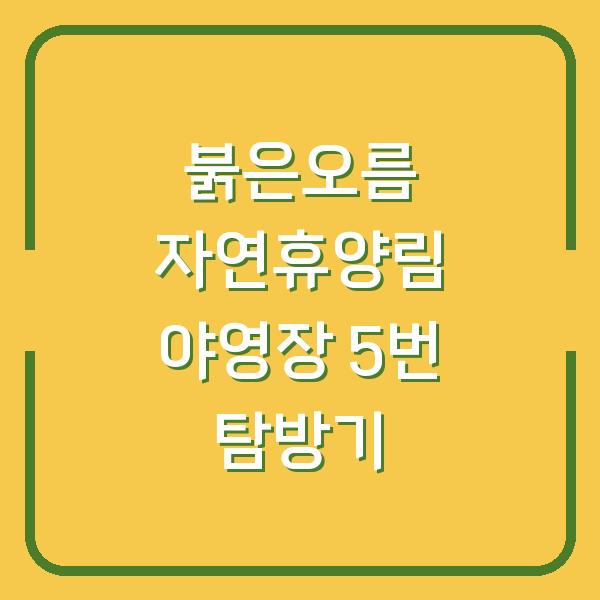 붉은오름 자연휴양림 야영장 5번 탐방기
