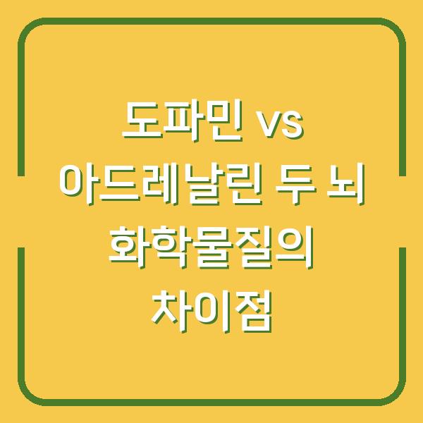 도파민 vs 아드레날린 두 뇌 화학물질의 차이점