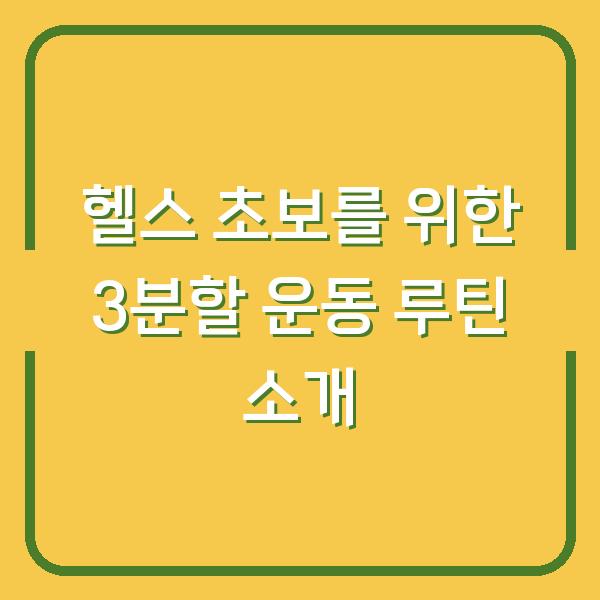 헬스 초보를 위한 3분할 운동 루틴 소개