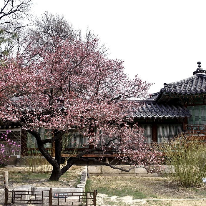 역사적 문화유산