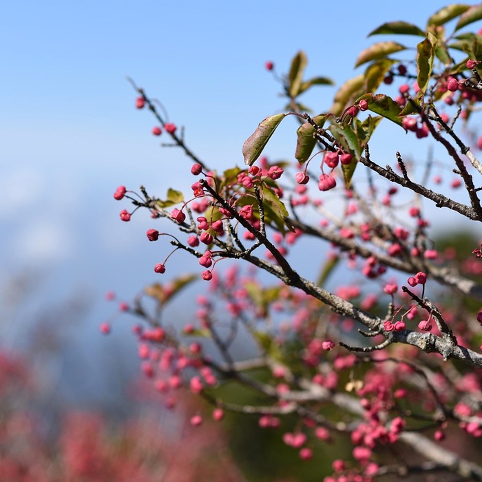 한라산 날씨 변화