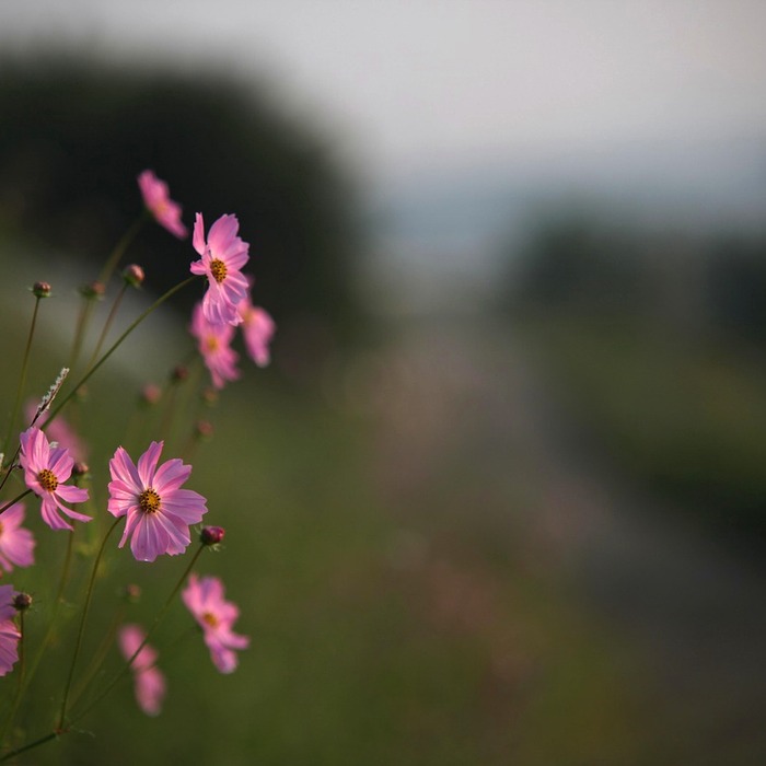 가을바람 풍경