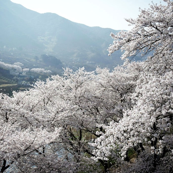 지리산 일출