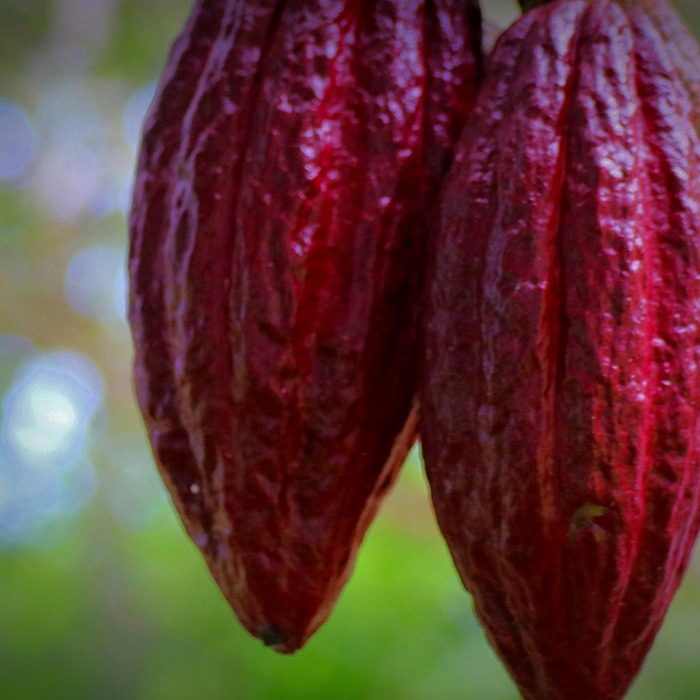 카카오톡 차단 기능