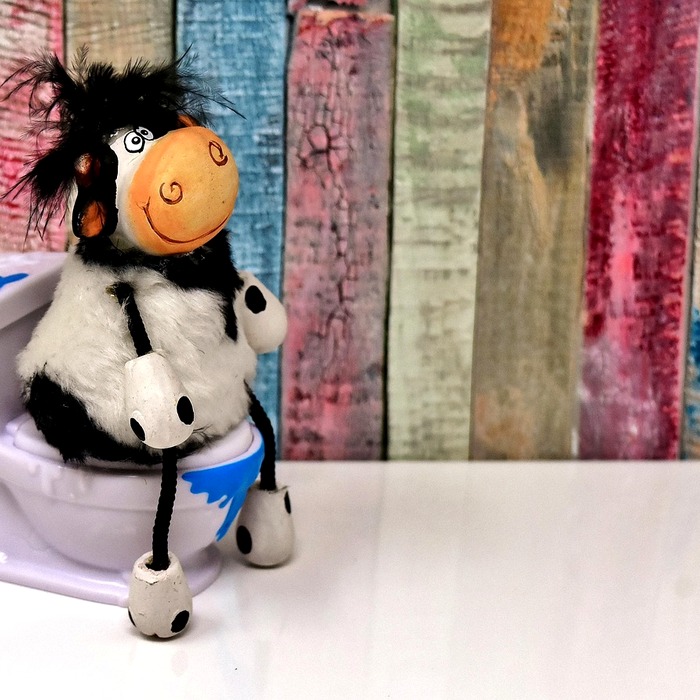 변기 막힘 원인