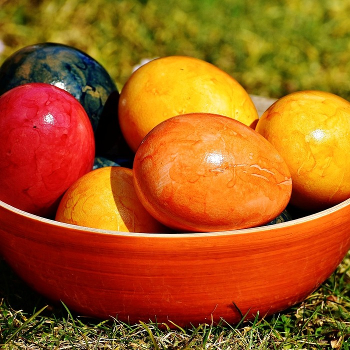 삶은 계란 영양