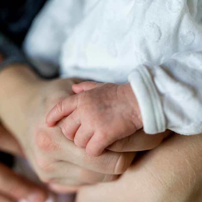 가족 간의 사랑