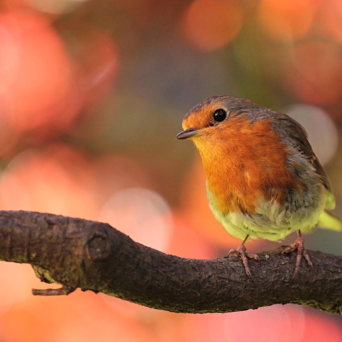 여권 이름 표기