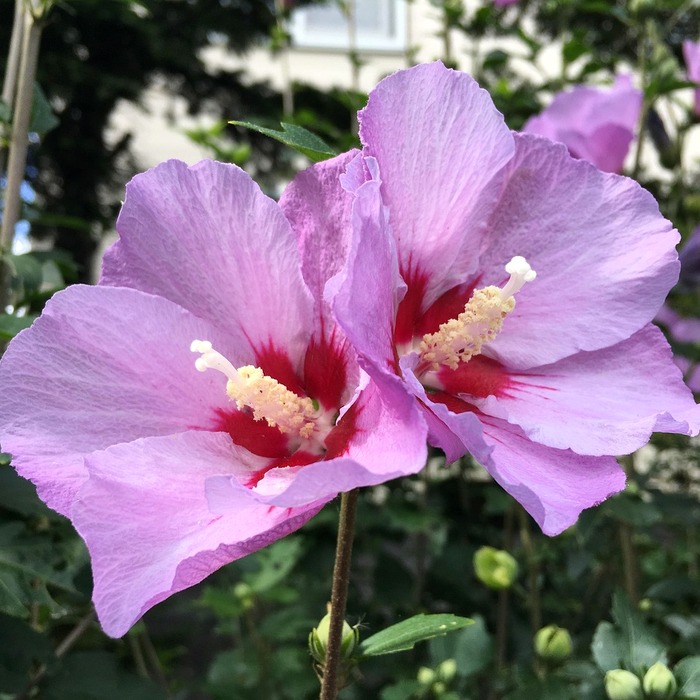 First Name Last Name