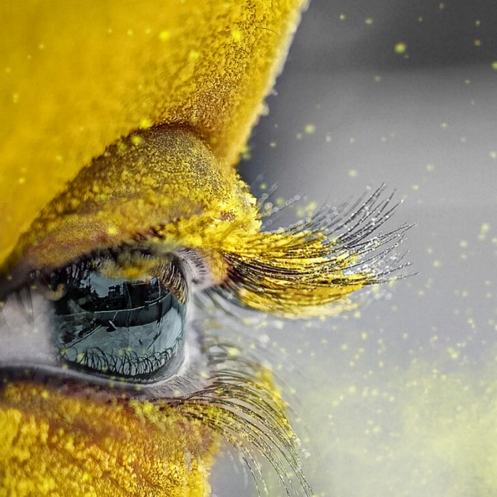 네순도르마 아리아