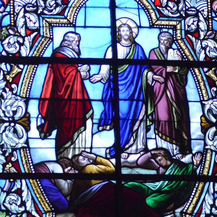 리스와 엘리 성장일기