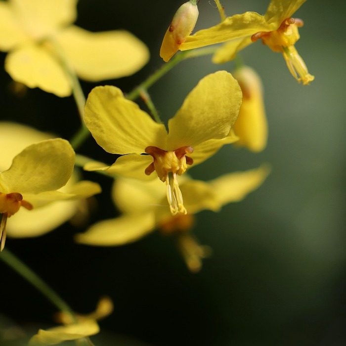 양말 사이즈 비교