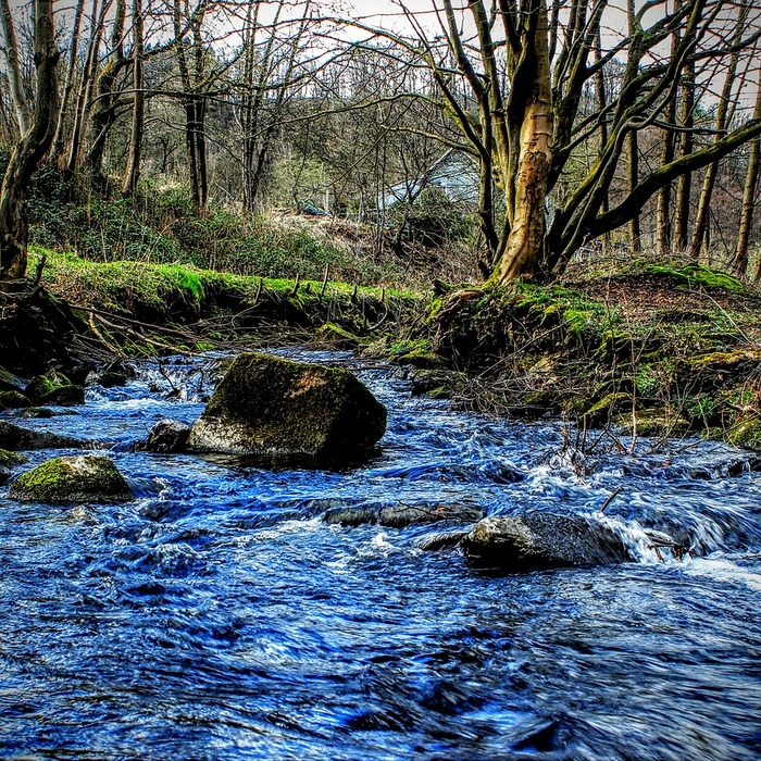 연구비 지원 현황