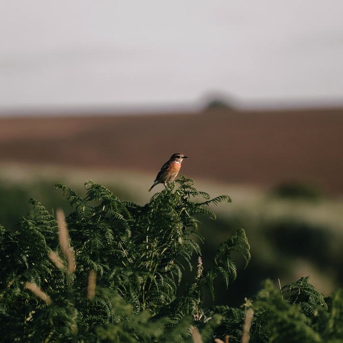 조건부 서식 예시