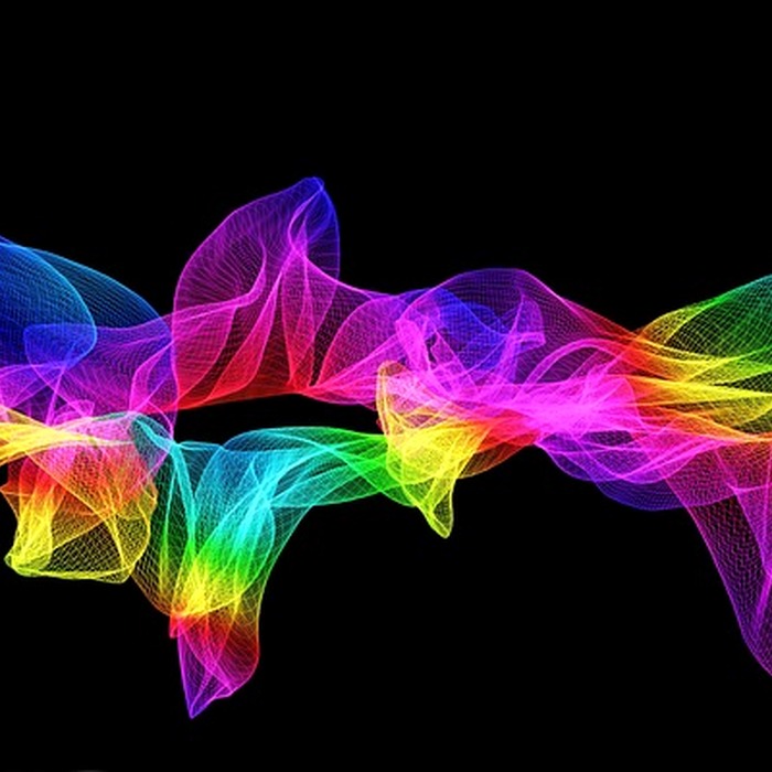 직장가입자 지역가입자