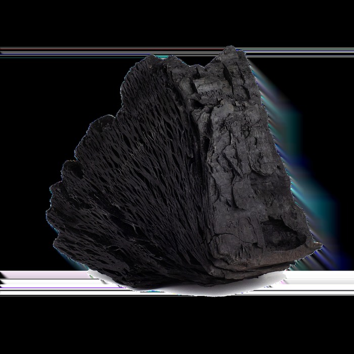 장 운동 활성화