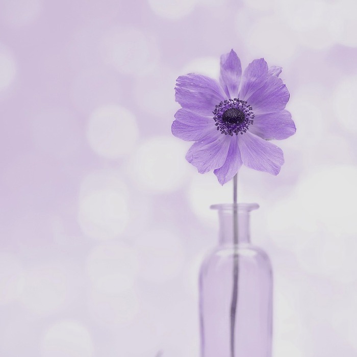 저작권 음원 사용