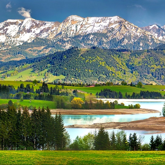 다이슨 헤어 드라이어