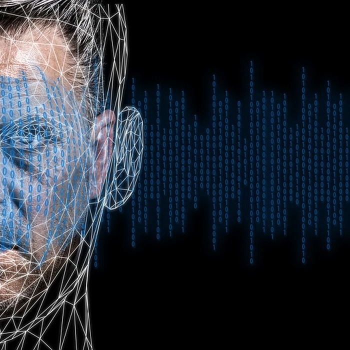 데이터베이스 활용