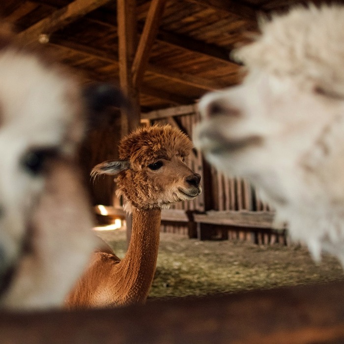 사용자 계정 관리
