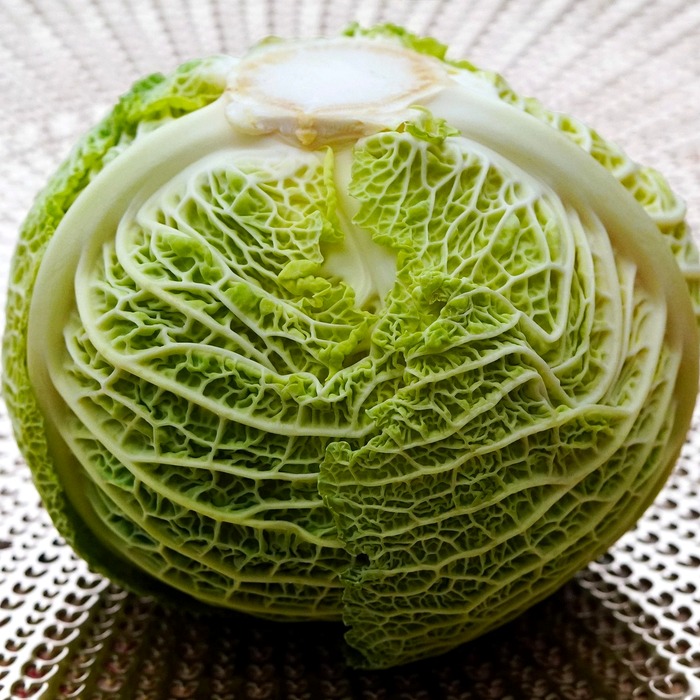 유기농 야채 선택