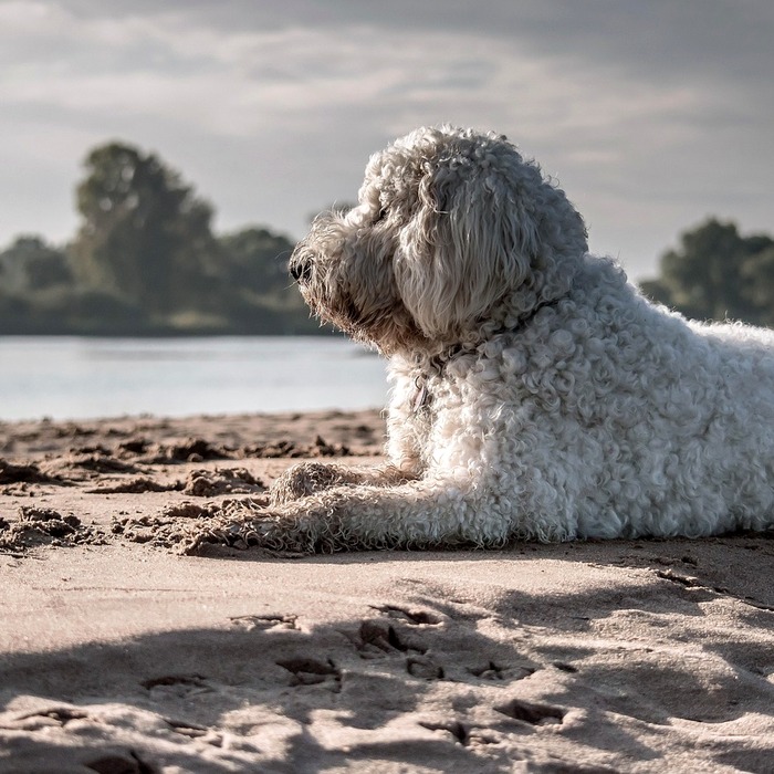 물놀이장 즐기기