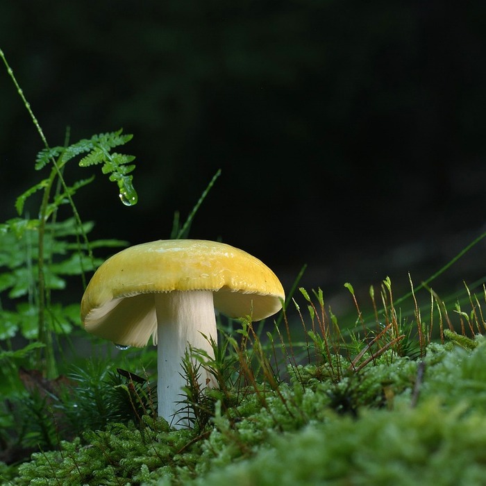 허리 디스크 증상