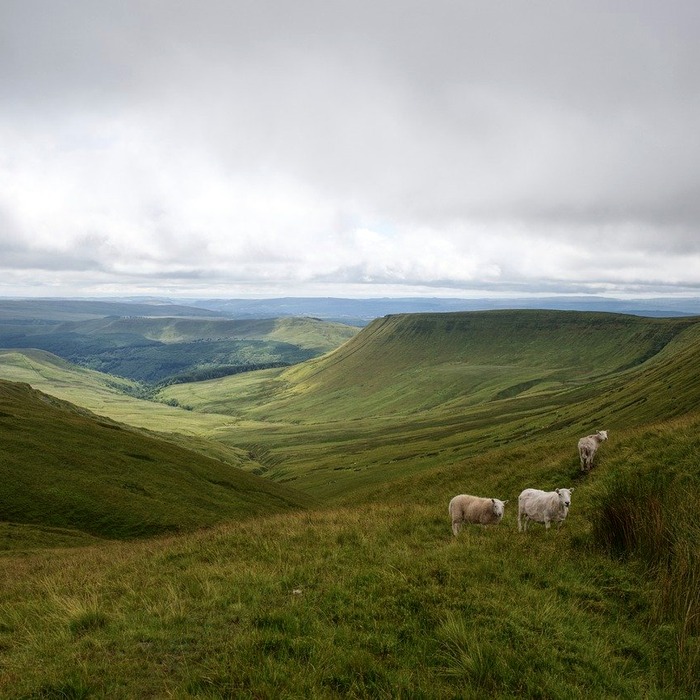 걷기 운동 효과