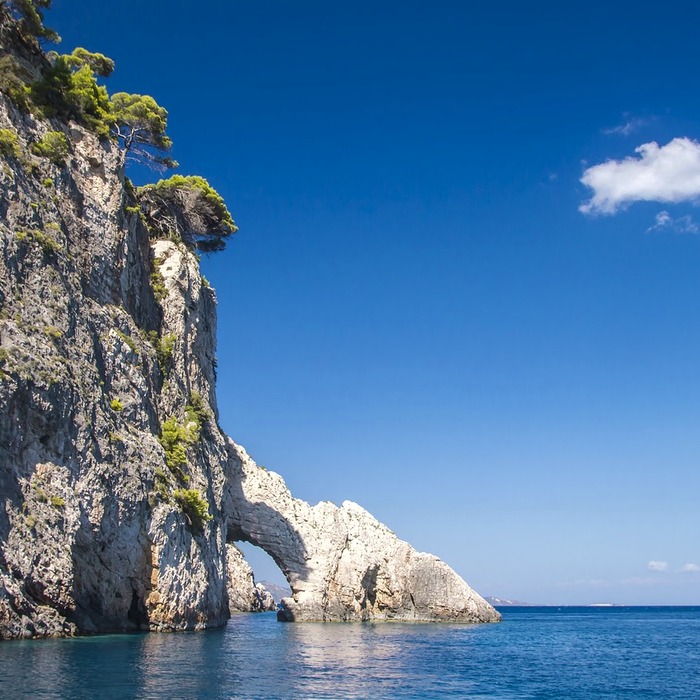 스노클링 액티비티