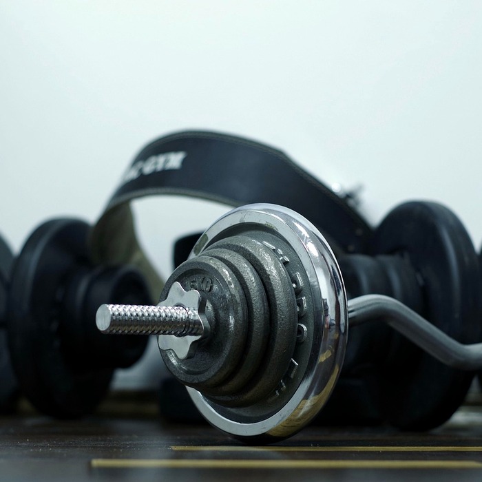 근육 성장 과정