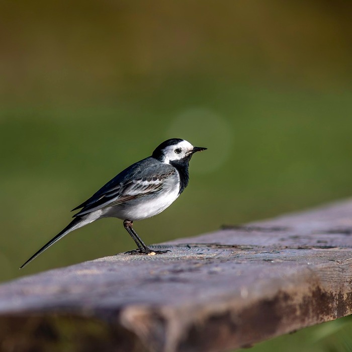성별 선호도 분석