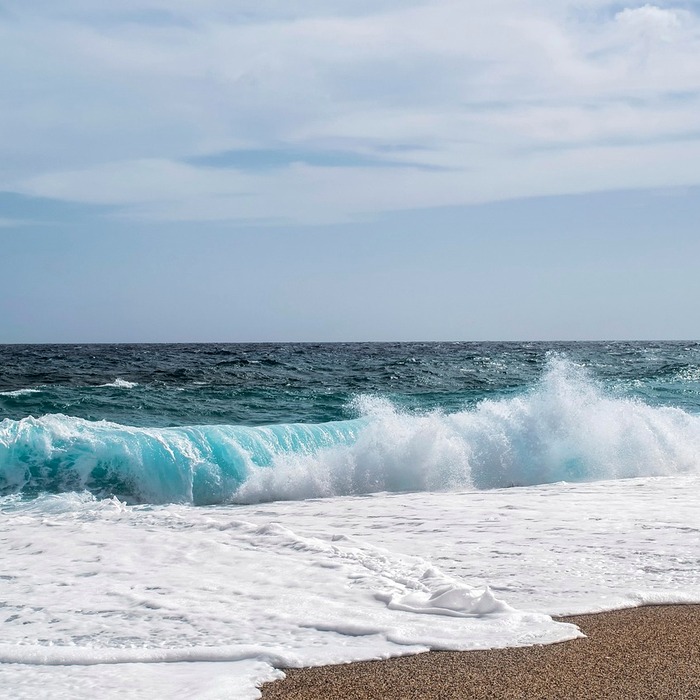물치 해변 풍경