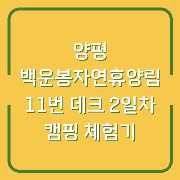 양평 백운봉자연휴양림 11번 데크 2일차 캠핑 체험기