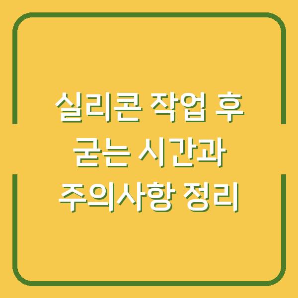 실리콘 작업 후 굳는 시간과 주의사항 정리