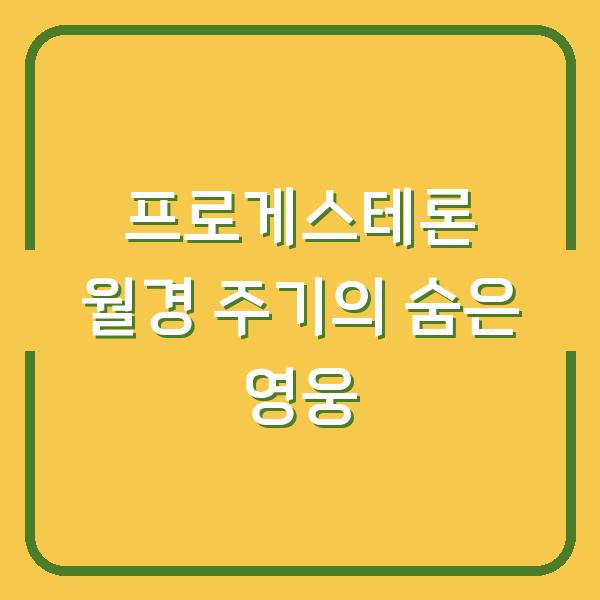 프로게스테론 월경 주기의 숨은 영웅