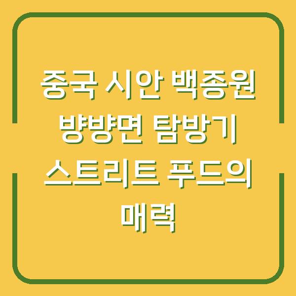 중국 시안 백종원 뱡뱡면 탐방기 스트리트 푸드의 매력