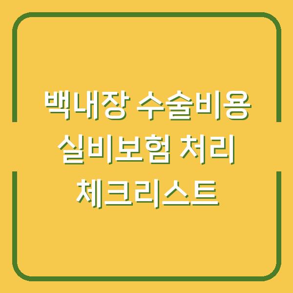 백내장 수술비용 실비보험 처리 체크리스트